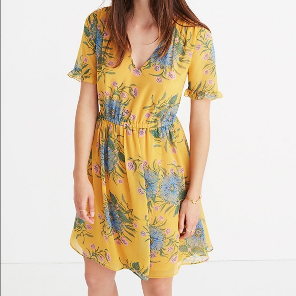 MADEWELL SWEETGRASS RUFFLE-SLEEVE DRESS SIZE 4